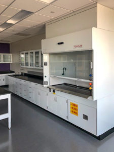 lab casework and fume hood
